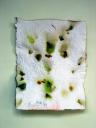 Handmade Paper 04