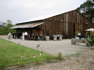 img_4103_weblarge1