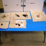 Paper Pieces