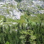 The High Country